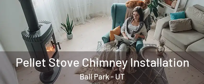 Pellet Stove Chimney Installation Ball Park - UT