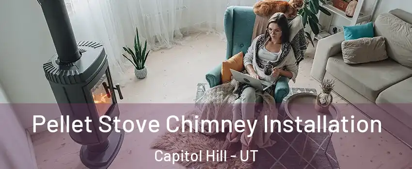 Pellet Stove Chimney Installation Capitol Hill - UT