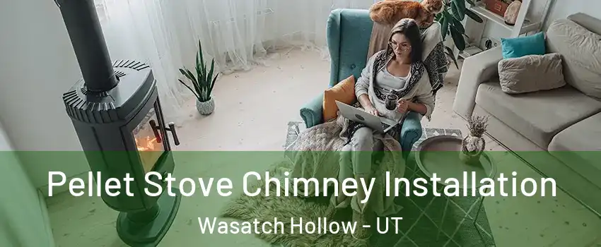 Pellet Stove Chimney Installation Wasatch Hollow - UT