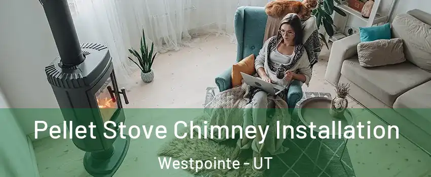 Pellet Stove Chimney Installation Westpointe - UT
