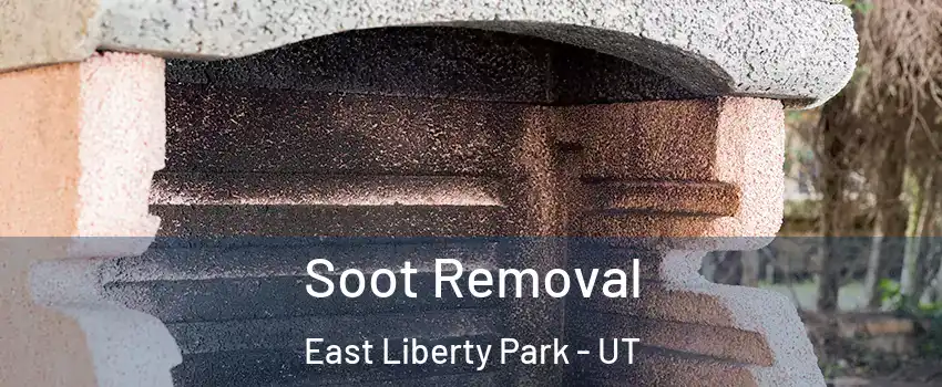 Soot Removal East Liberty Park - UT