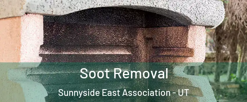 Soot Removal Sunnyside East Association - UT