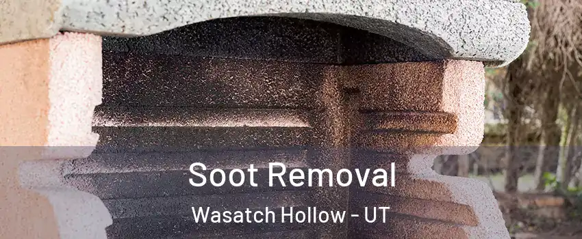 Soot Removal Wasatch Hollow - UT