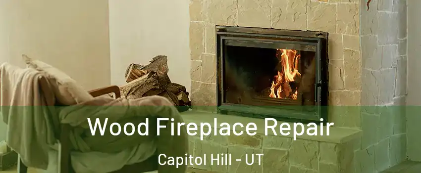 Wood Fireplace Repair Capitol Hill - UT