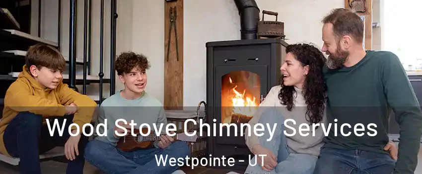 Wood Stove Chimney Services Westpointe - UT