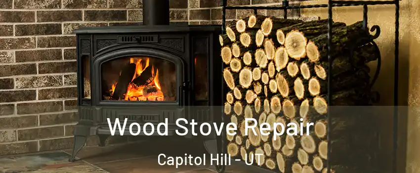 Wood Stove Repair Capitol Hill - UT
